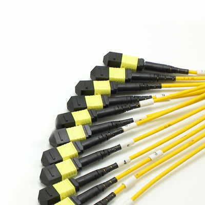 কম ক্ষতির এমপিও ফ্যানআউট ক্যাবল বড় পরিমাণে কোর 1 এম 144 এফ এসএমজি 657 এ 1 এমপিও এপিসি থেকে এমপিও এপিসি ব্রেকআউট ফাইবার অপটিক প্যাচ কর্ড