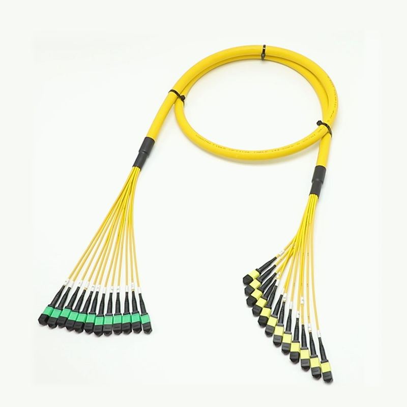 কম ক্ষতির এমপিও ফ্যানআউট ক্যাবল বড় পরিমাণে কোর 1 এম 144 এফ এসএমজি 657 এ 1 এমপিও এপিসি থেকে এমপিও এপিসি ব্রেকআউট ফাইবার অপটিক প্যাচ কর্ড